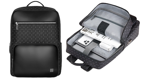 Bags with biometric safety